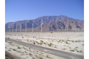 pa300080.jpg