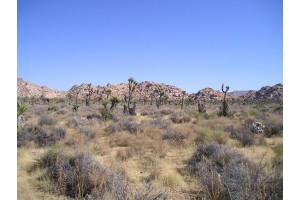 pa300083.jpg