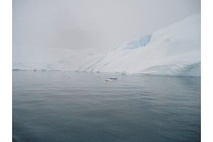p3292017.jpg