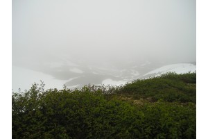 p7081720.jpg