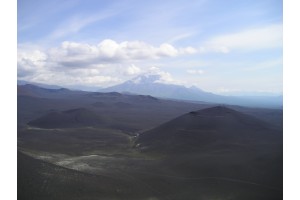 p7141832.jpg