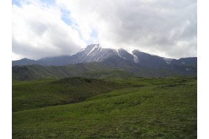 p7151871.jpg