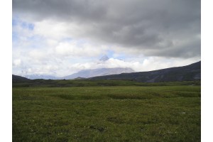 p7151873.jpg