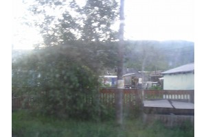 p7191923.jpg