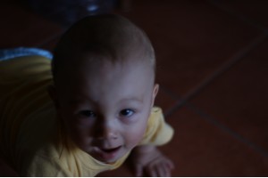 dsc07528.jpg