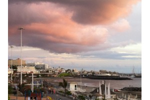 img_0229.jpg