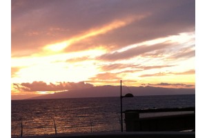 img_0230.jpg